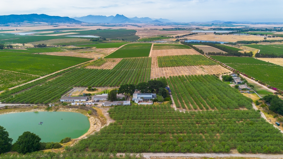 4 Bedroom Property for Sale in Paarl Rural Western Cape